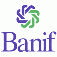 BANIF – Banco Internacional do Funchal logo vector logo