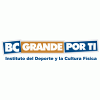 BC Baja California logo vector logo