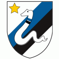 F.C. Internazionale ’80 logo vector logo