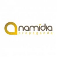 Namidia logo vector logo