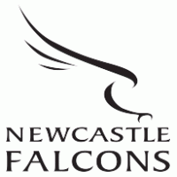 Newcastle Falcons logo vector logo