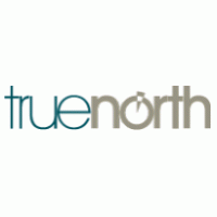 True North logo vector logo