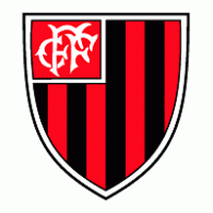 Clube de Futebol Florestal de Ibiruba-RS logo vector logo