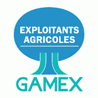 Gamex logo vector logo