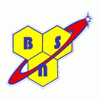 BSN logo vector logo