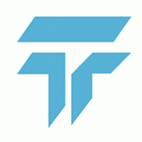 Todini Gruppo logo vector logo