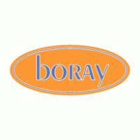 Boray Motorlu Araclar logo vector logo