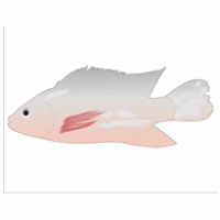tilapia fish logo vector logo