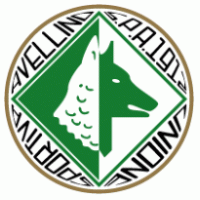 US Avellino logo vector logo