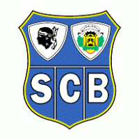SC Bastia logo vector logo