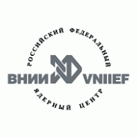VNIIEF logo vector logo