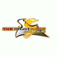 The Night Race Schladming logo vector logo