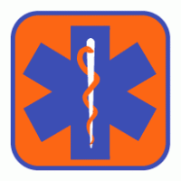 Star Of Life Orange logo vector logo