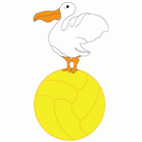 zvv pelikaan logo vector logo