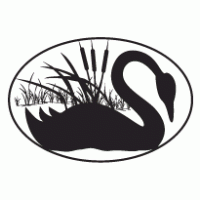 Black Swan logo vector logo