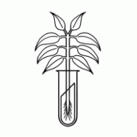 New York Botanics LLC logo vector logo