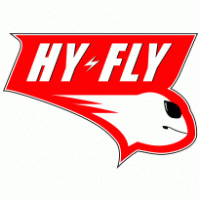 hy-fly logo vector logo
