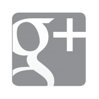 Google  grey logo vector logo