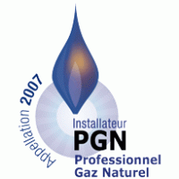 PGN – Professionnel Gaz Naturel logo vector logo