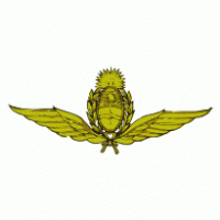 Fuerza Aerea Argentina logo vector logo