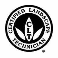 CLT logo vector logo