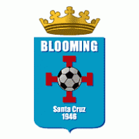 Blooming logo vector logo