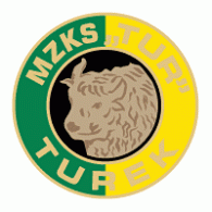 MZKS Tur Turek logo vector logo