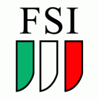 FSI logo vector logo