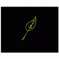 clorophilla film leaf logo vector logo