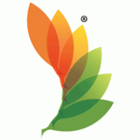 RACE_CLEAN ENERGY logo vector logo