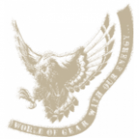 Eagle logo vector logo