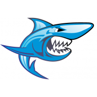 Shark logo vector logo