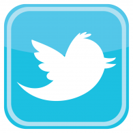 Twitter logo vector logo