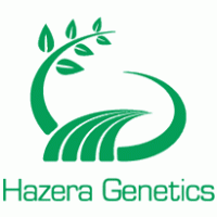 Hazera Logo logo vector logo
