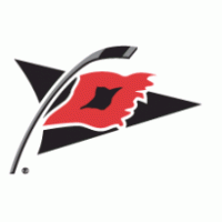 Carolina Hurricanes logo vector logo