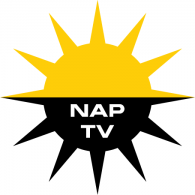 Nap TV logo vector logo