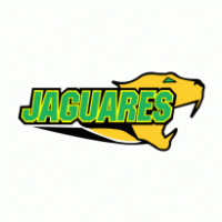 UR Jaguares logo vector logo