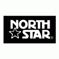 North Star logo vector logo