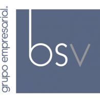 Grupo BSV logo vector logo
