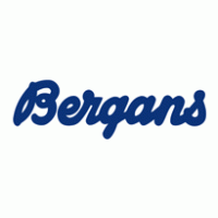 Bergans of Norway logo vector logo