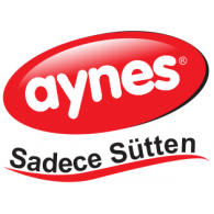 Aynes S logo vector logo