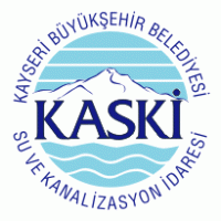 kaski logo vector logo