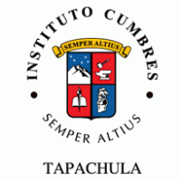 Instituto Cumbres logo vector logo