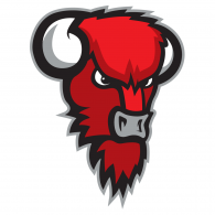 Bisons logo vector logo