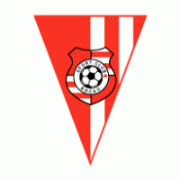 SC Bacau logo vector logo