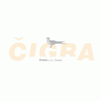 Cigra logo vector logo