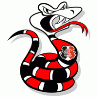 Santa Cruz Futebol Clube – Mascot logo vector logo