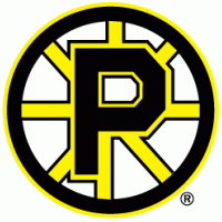 Providence Bruins logo vector logo