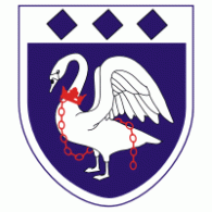 Burnham FC logo vector logo