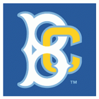 Brooklyn Cyclones logo vector logo